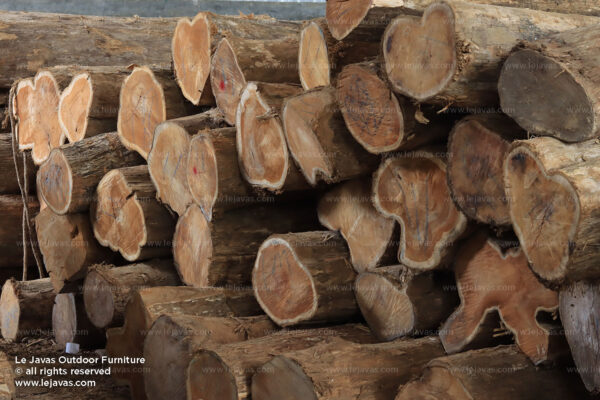 Sustainable Teak Wood Sourcing
